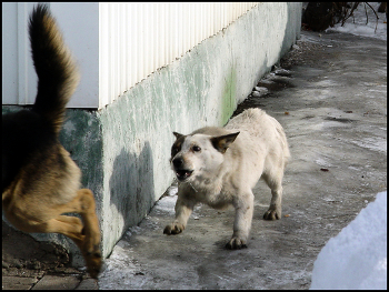 Alien Trespassing / ***