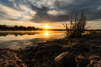 Sunrise / ***
