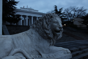 Fog dissipates / ***