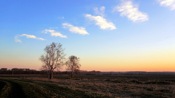 Morning in early spring / ***