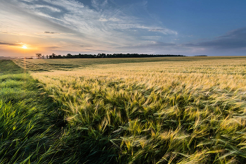 Evening in July / ***