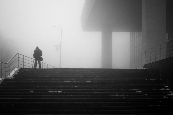 Fog / ***