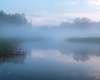 Fog after the rain / ***