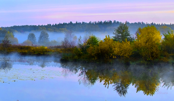 Autumn landscape. / ***