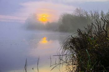 In the fog. / ***