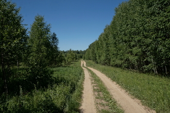 Road / ***