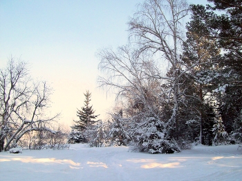 Winter road / ***