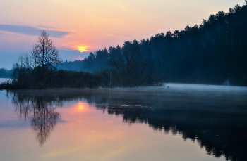 Berezina / ------------