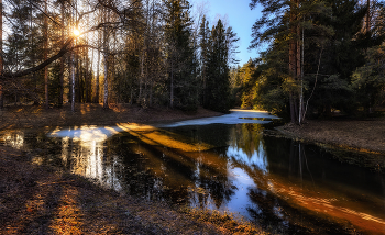 at sunset / ***