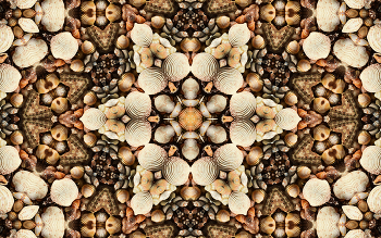 Seashell kaleidoscope / Kaleidoscope effect on a bunch of scattered seashells