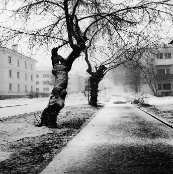 The April snowstorm / ***