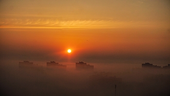 Foggy morning ... / ***