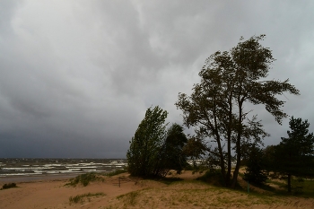 Autumn storm / ***