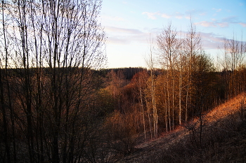 April evening. / ***