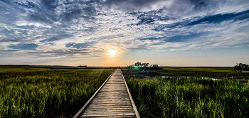 The way / Deck path to marsh