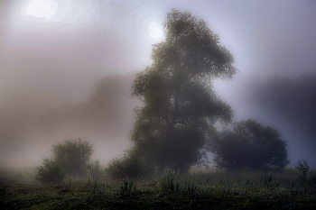Gloomy / ***