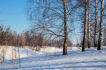Freeze / ***