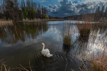 Kirillov / ***