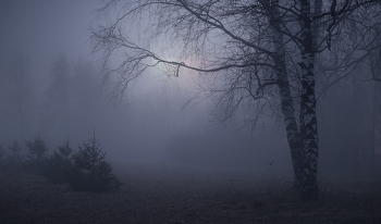 night fog / ***