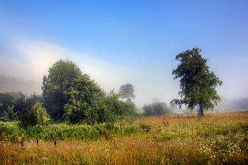 morning in July / ***