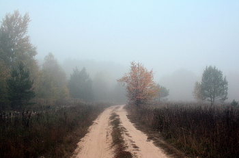 Autumn mist. / &quot; &quot; &quot;