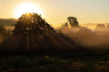 morning in the village*** / ***