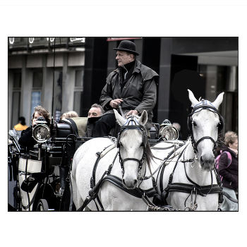 A walk in Vienna ... / ***