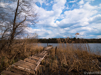 On the lake / ***