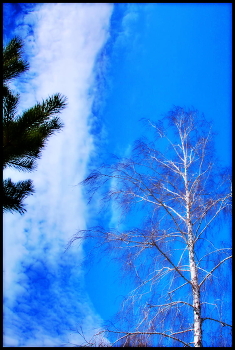 heaven / ***