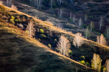 Spring slopes / ***