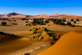 Namib, Sossusvlei / aufgenommen während einer Afrikarundfahrt