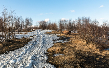 Traces of winter / ***