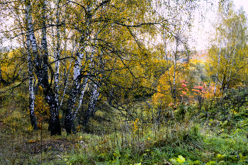Autumn / ***