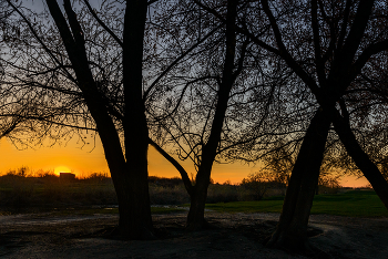 Evening / ***