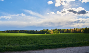 Native open spaces / ***
