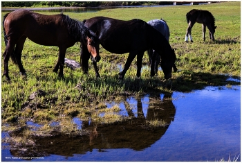 On the outskirts / ***