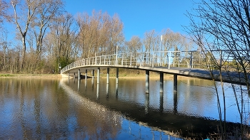 ***bridge under the sun / tranquility and comfort