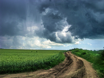 rain is going to / ***