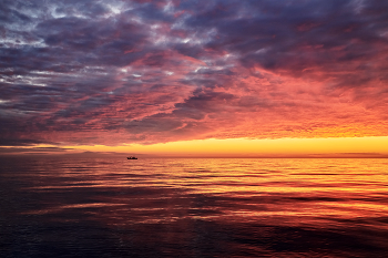 Fire in the sky / ***