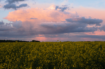 Sunset after rain / ***