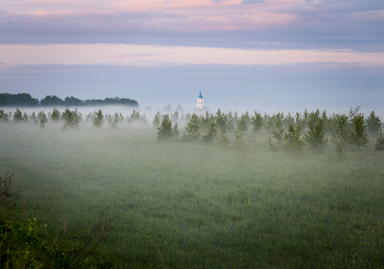 In the fog ... / ***