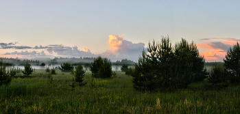 Landscape / ***