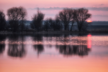 Pink morning / ***
