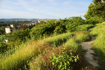 Path / ***