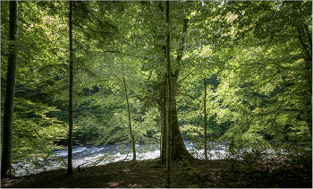 In the mountain river / ***