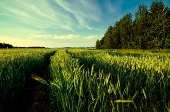 On the outskirts / ***