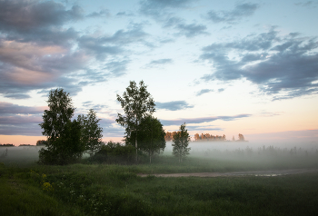 Evening fog / ***