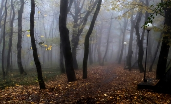 In the fall the park ... / ***