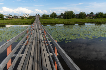 Bridge / ...