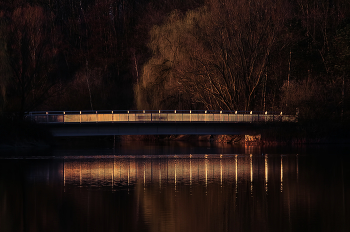 Bridge / ***